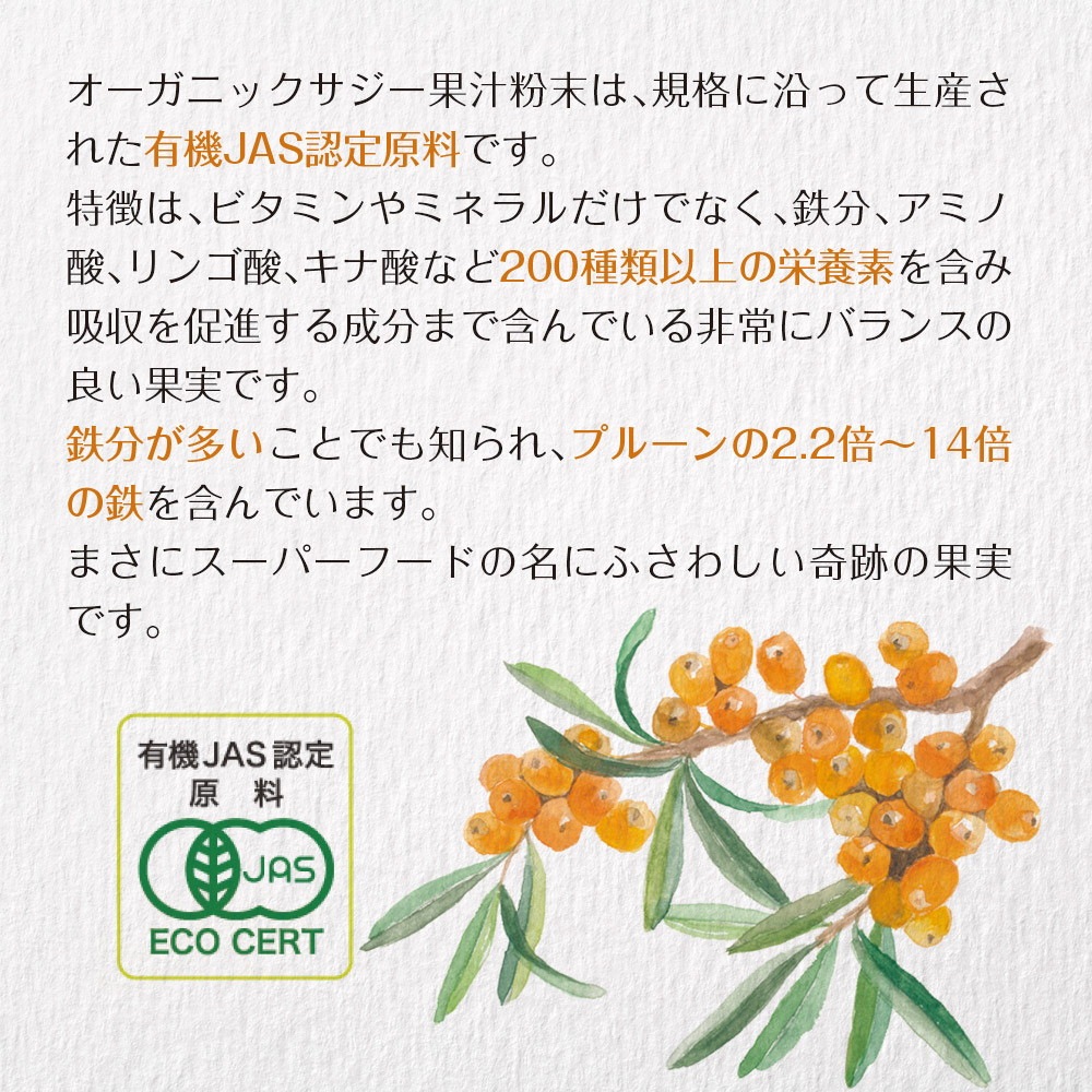 サジーと3つのビタミンC 30包入り メール便