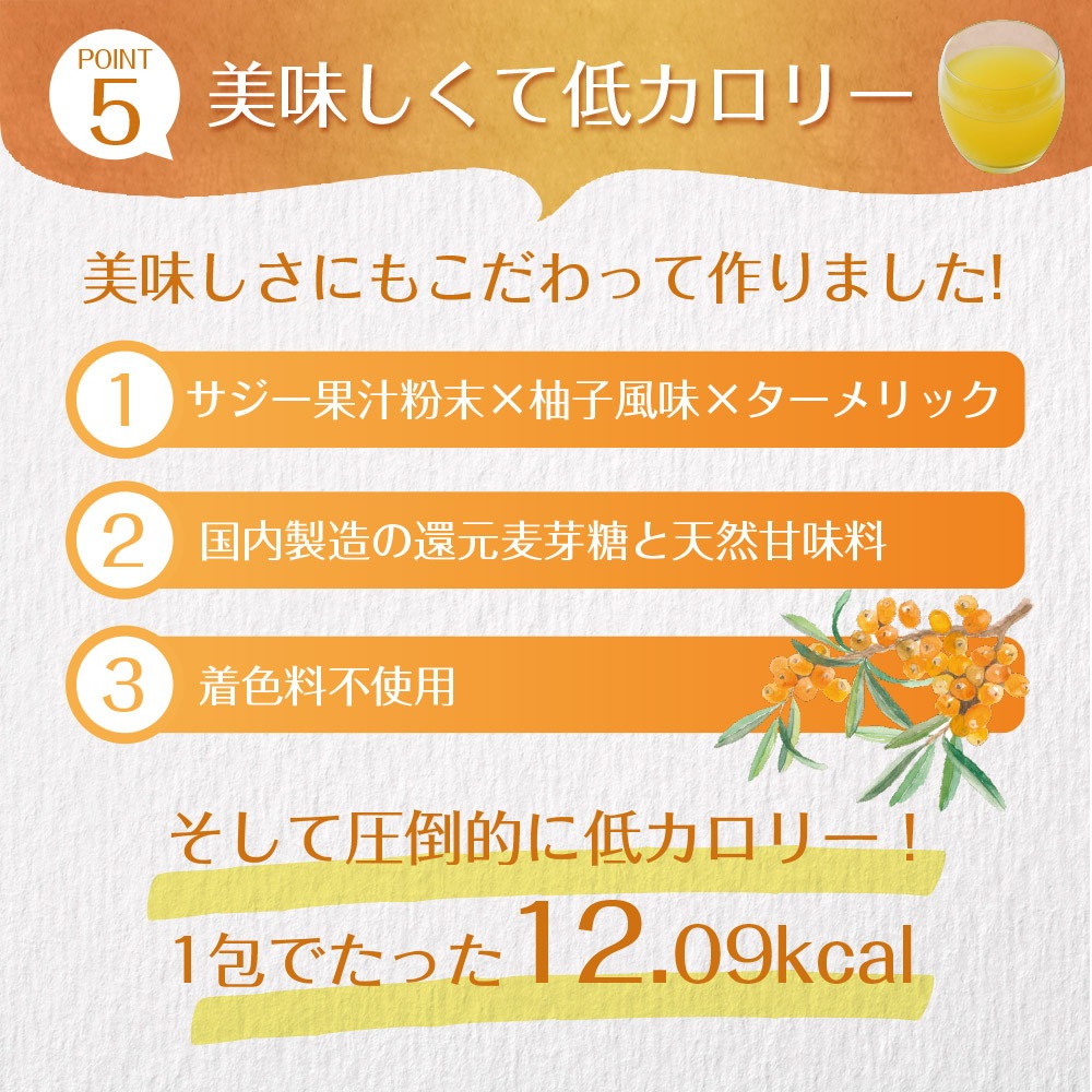 サジーと3つのビタミンC 30包入り メール便