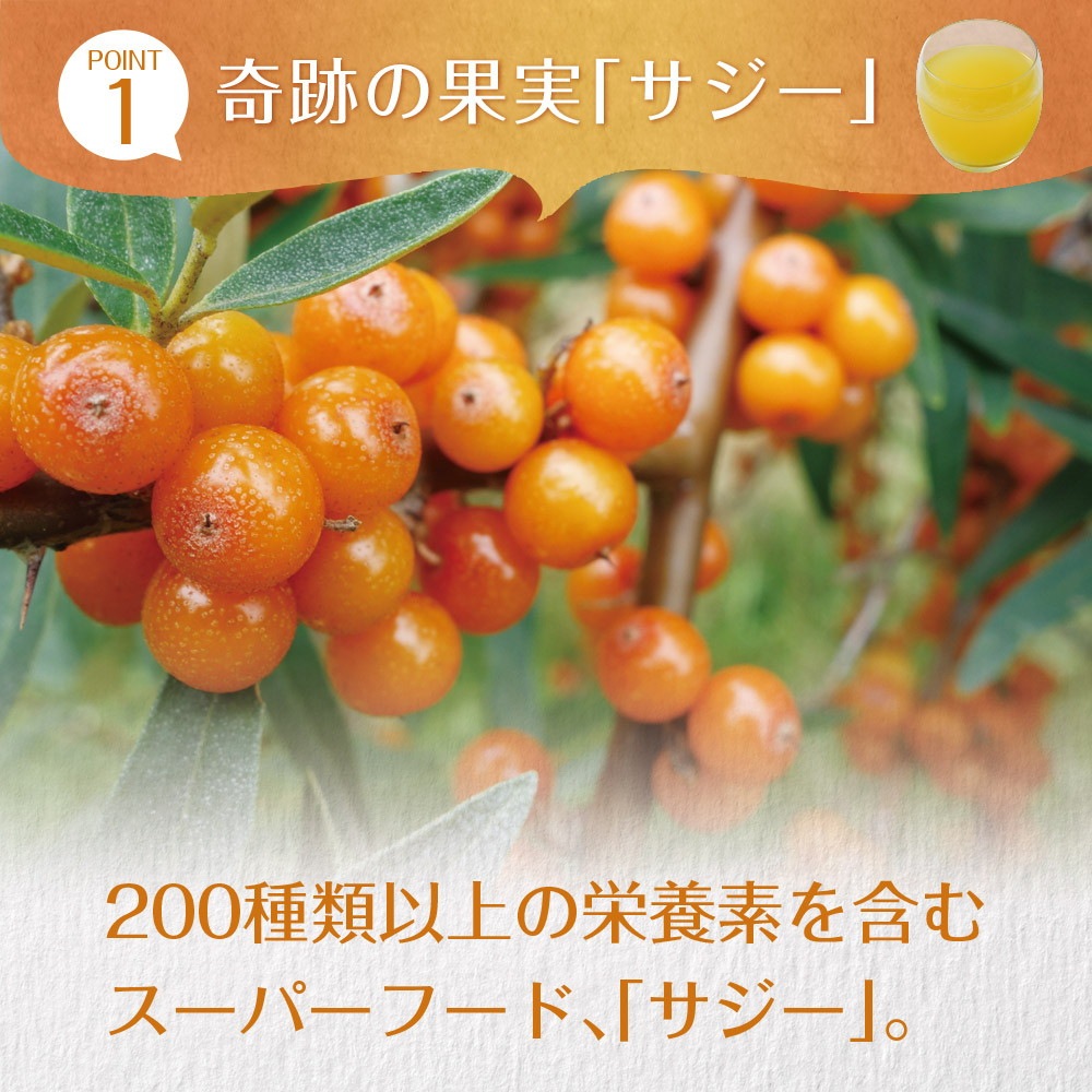 サジーと3つのビタミンC 30包入り メール便