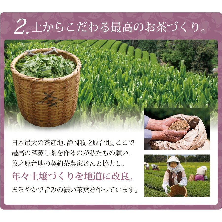 【単品】新茶 茶匠庵 深蒸し茶 手摘み きわみ 100g メール便