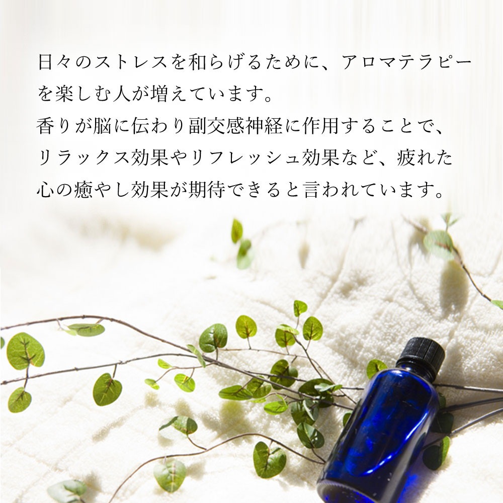 電気式茶香炉 はじめてセット