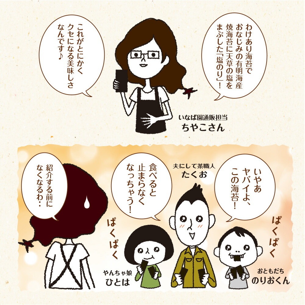 【単品】有明海産 一番摘み 塩海苔 8切104枚 メール便