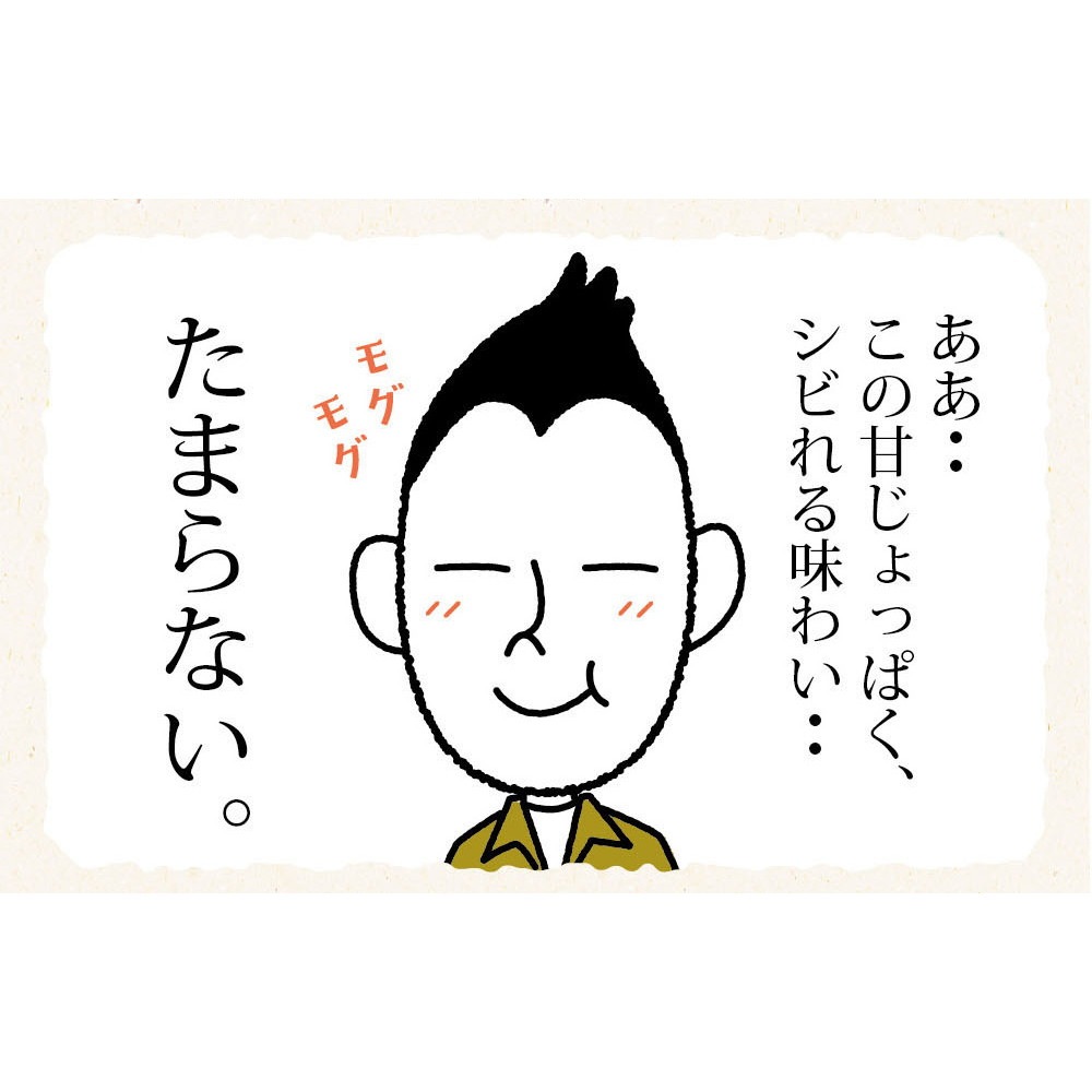 【8個セット】瀬戸内ちりめん山椒 35g メール便