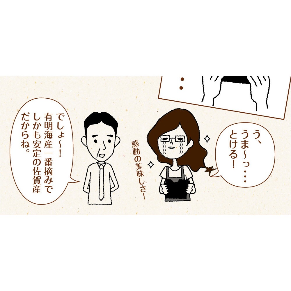 【2個セット】有明海産 一番摘み佐賀海苔 10枚 メール便