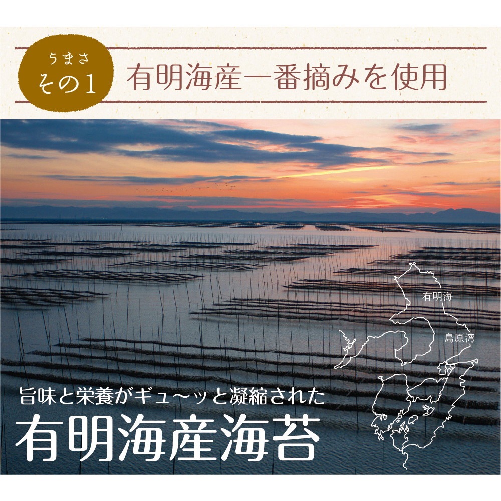 【2個セット】有明海産 一番摘み佐賀海苔 10枚 メール便