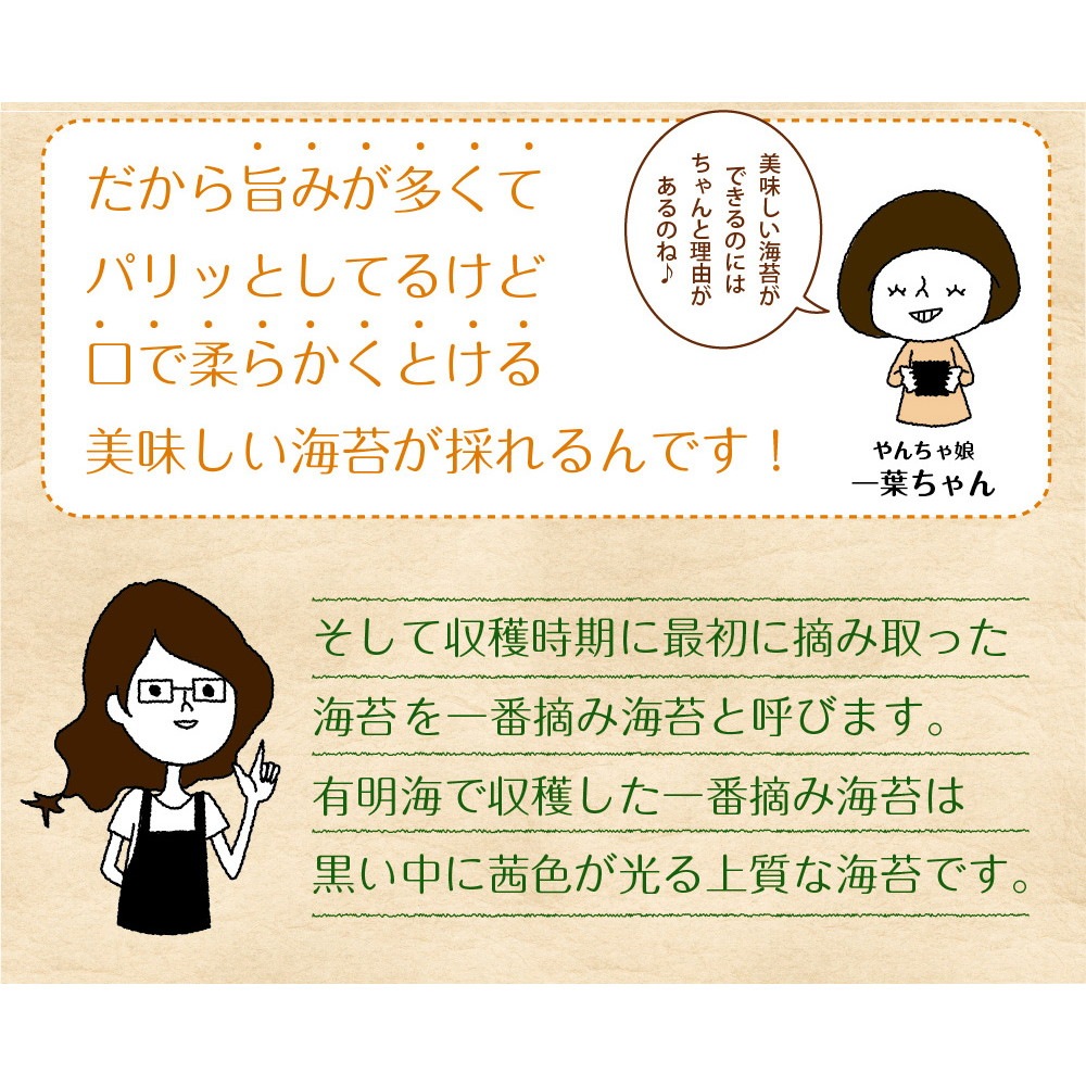 有明海産 一番摘み佐賀海苔 20枚 10枚 2袋 2帖 有明海産 焼き海苔 メール便