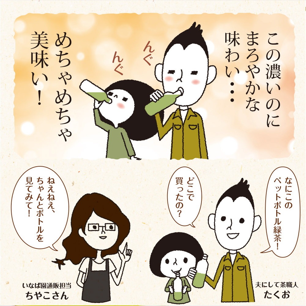 【2個セット】こいうま深蒸し茶 ペットボトル用 3g×20包 メール便