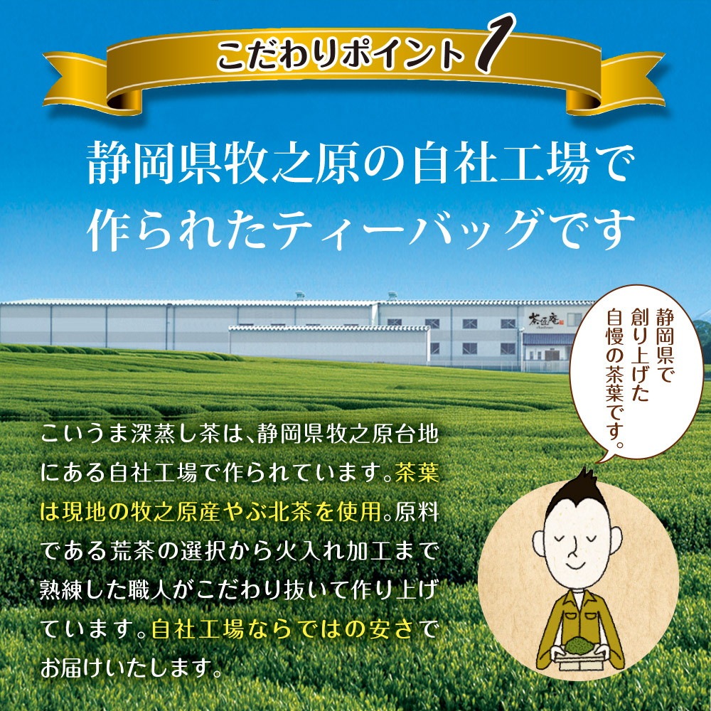 【2個セット】こいうま深蒸し茶 ペットボトル用 3g×20包 メール便