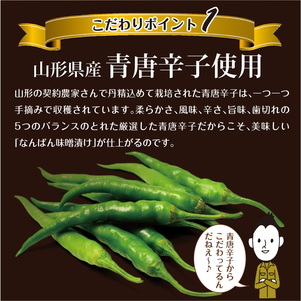 【4個セット】山形県産 南蛮みそ漬け 100g メール便