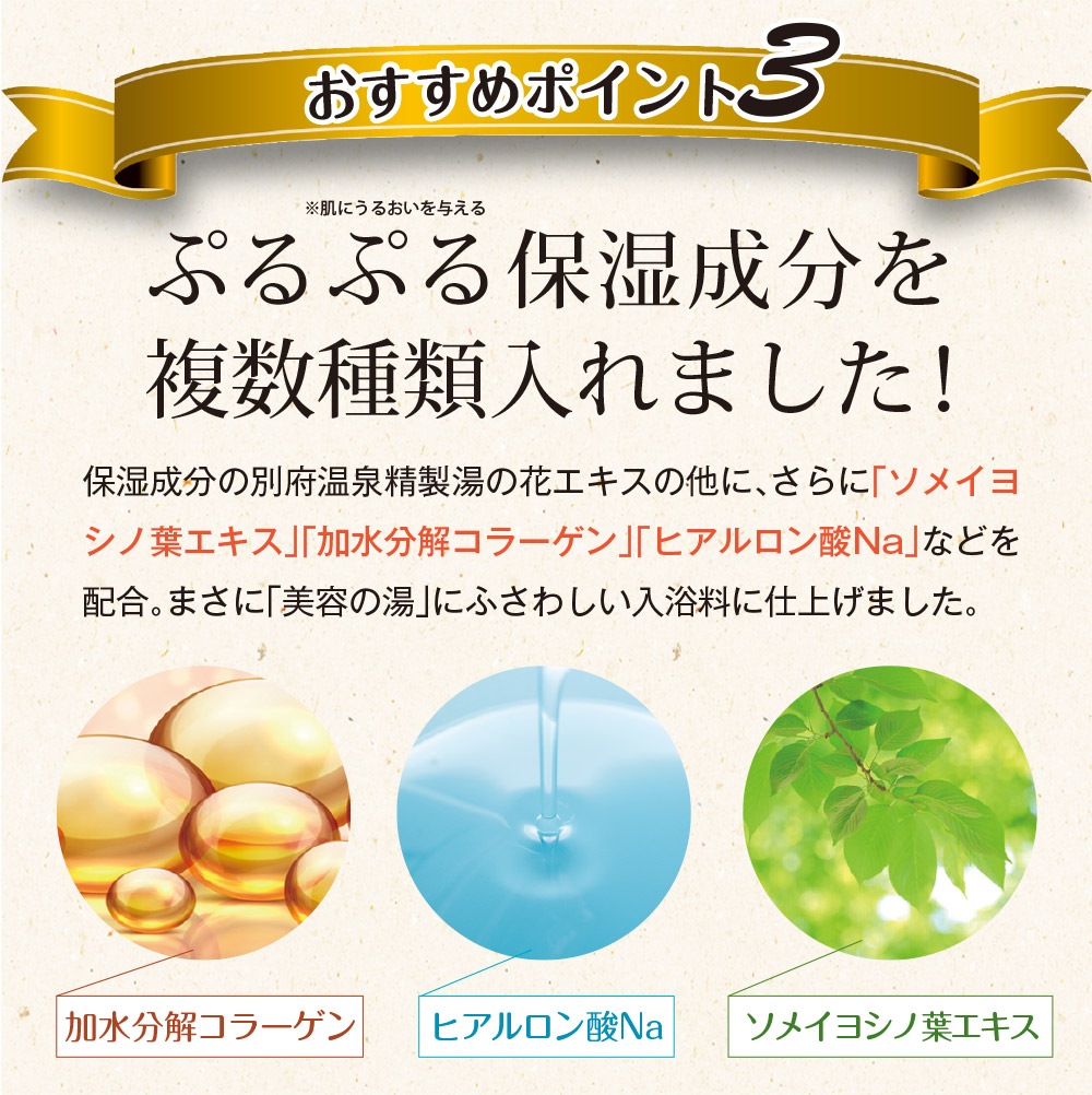 【10袋セット】別府 美容の湯 個包装 メール便