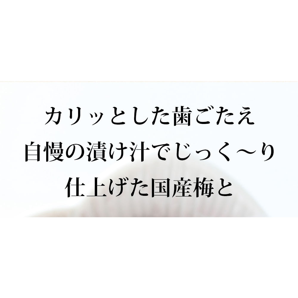 【4個セット】国産梅ひじきふりかけ 70g メール便