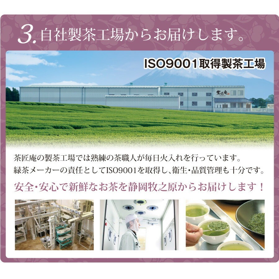 【2個セット】茶匠庵 深蒸し茶 たくみ 100g メール便