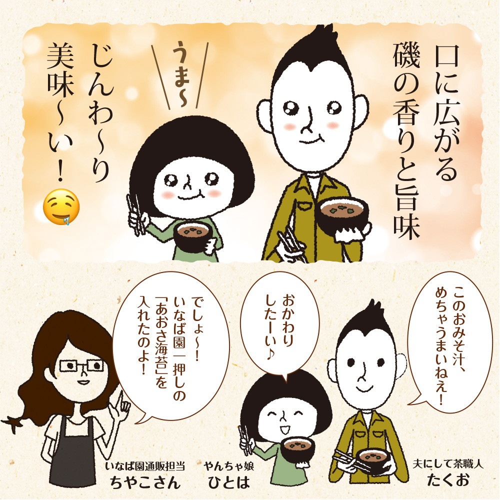 【単品】伊勢志摩産 あおさ海苔 30g メール便