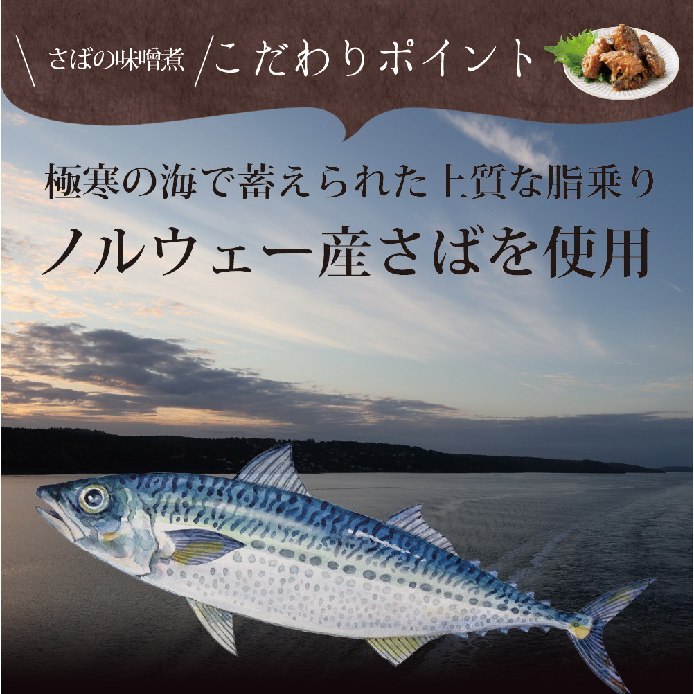 【3個セット】さば味噌煮 80g メール便