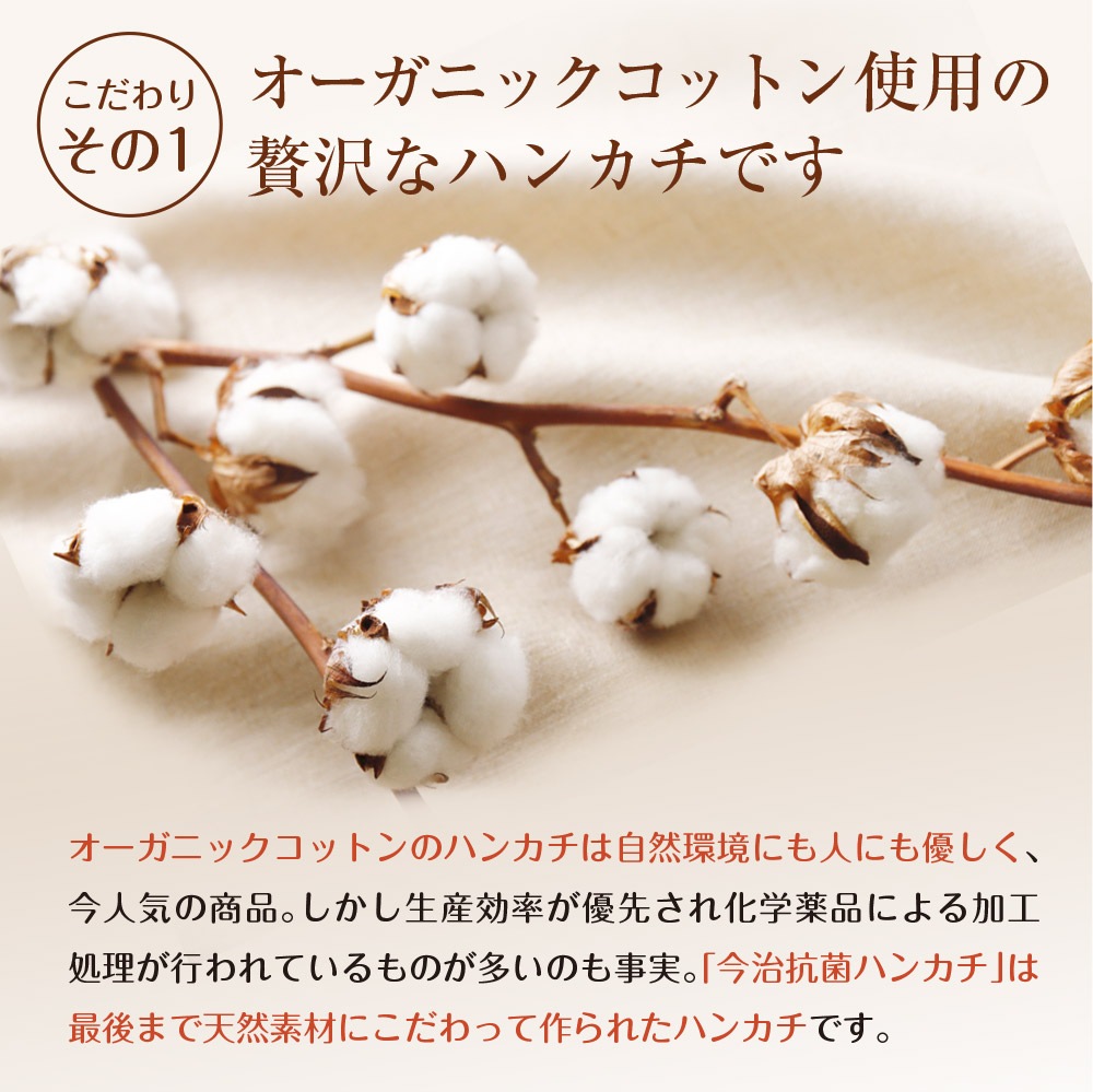 【単品】cacico 今治産 タオルハンカチ メール便