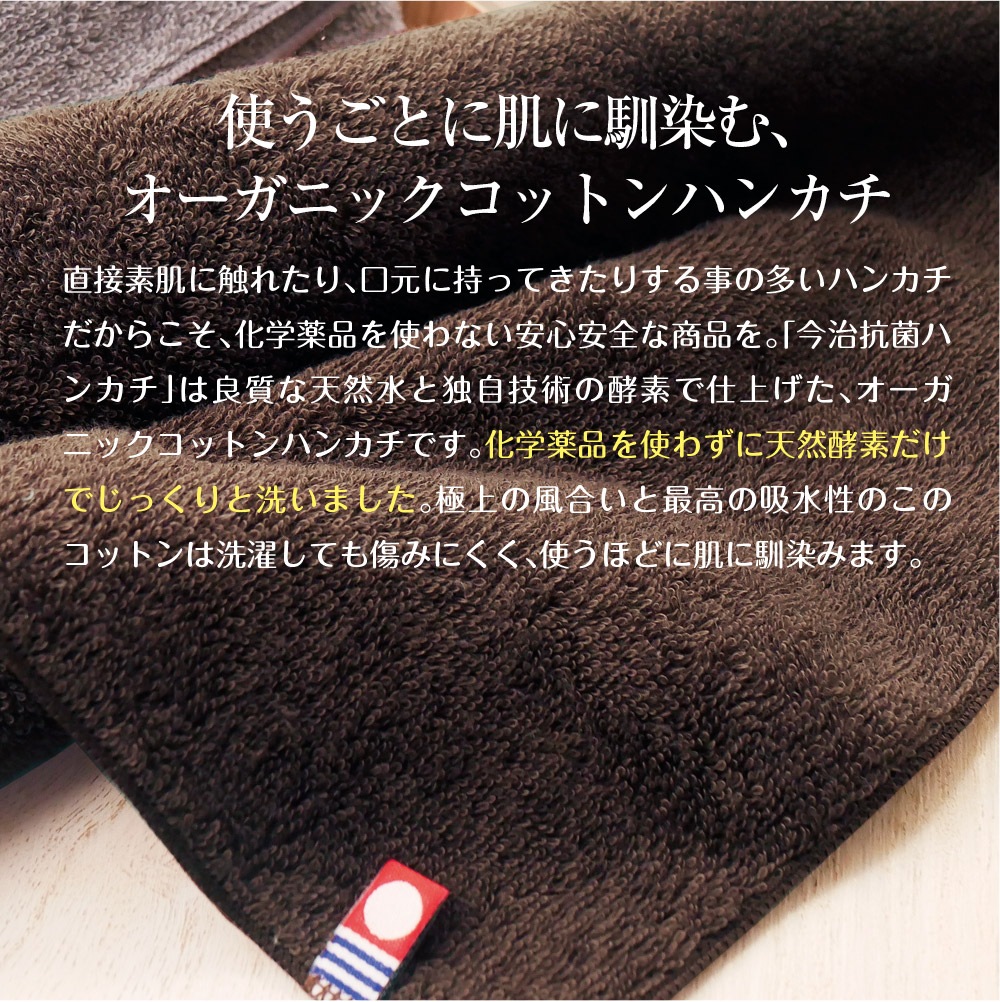 【2個セット】cacico 今治産 タオルハンカチ メール便
