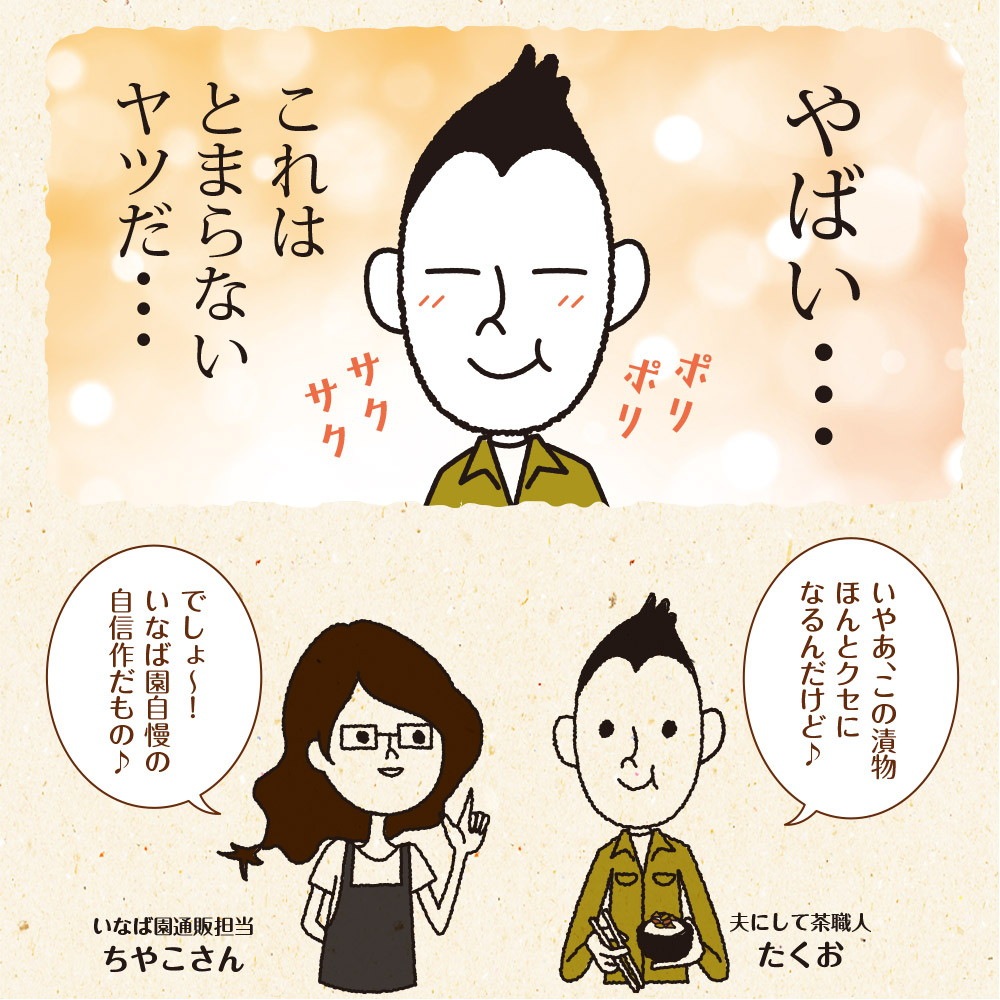 【単品】国産きゅうり醤油漬け 100g メール便