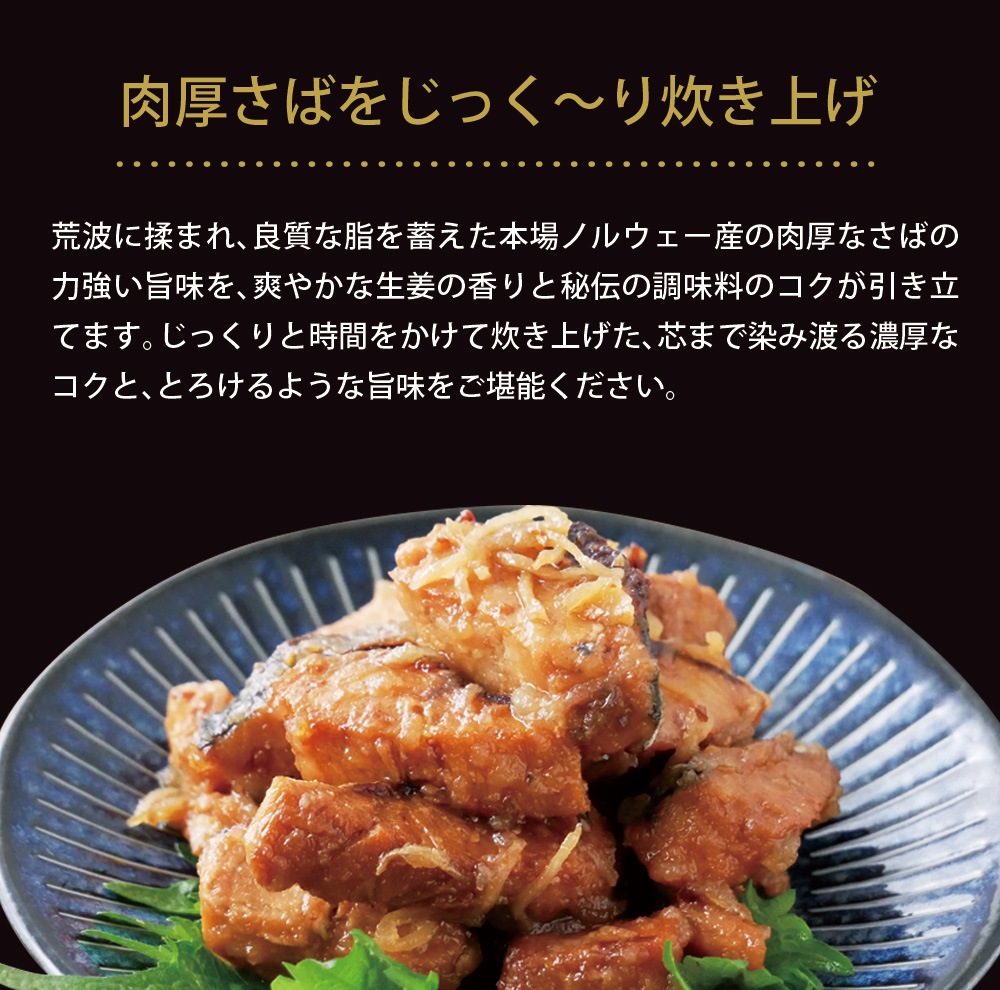 【4個セット】さば生姜煮 70g メール便