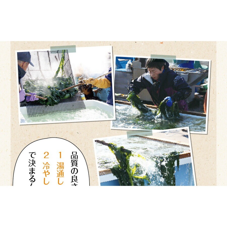 【単品】三陸外洋大谷産 カットわかめ 40g メール便