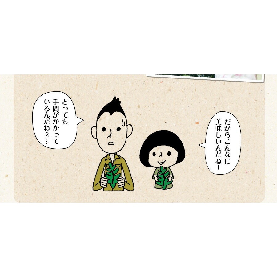 【単品】三陸外洋大谷産 カットわかめ 40g メール便