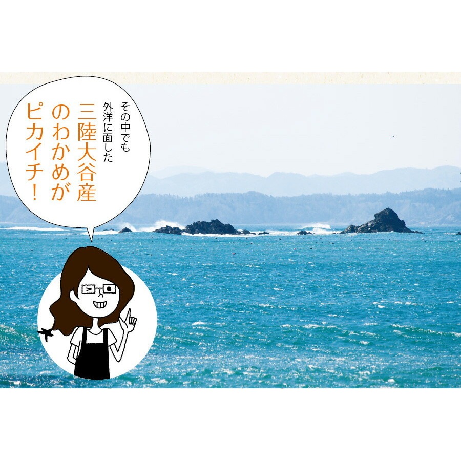 【単品】三陸外洋大谷産 カットわかめ 40g メール便