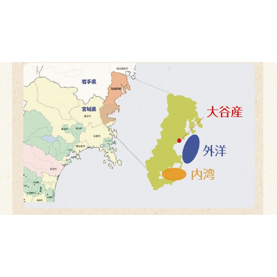 【単品】三陸外洋大谷産 カットわかめ 40g メール便