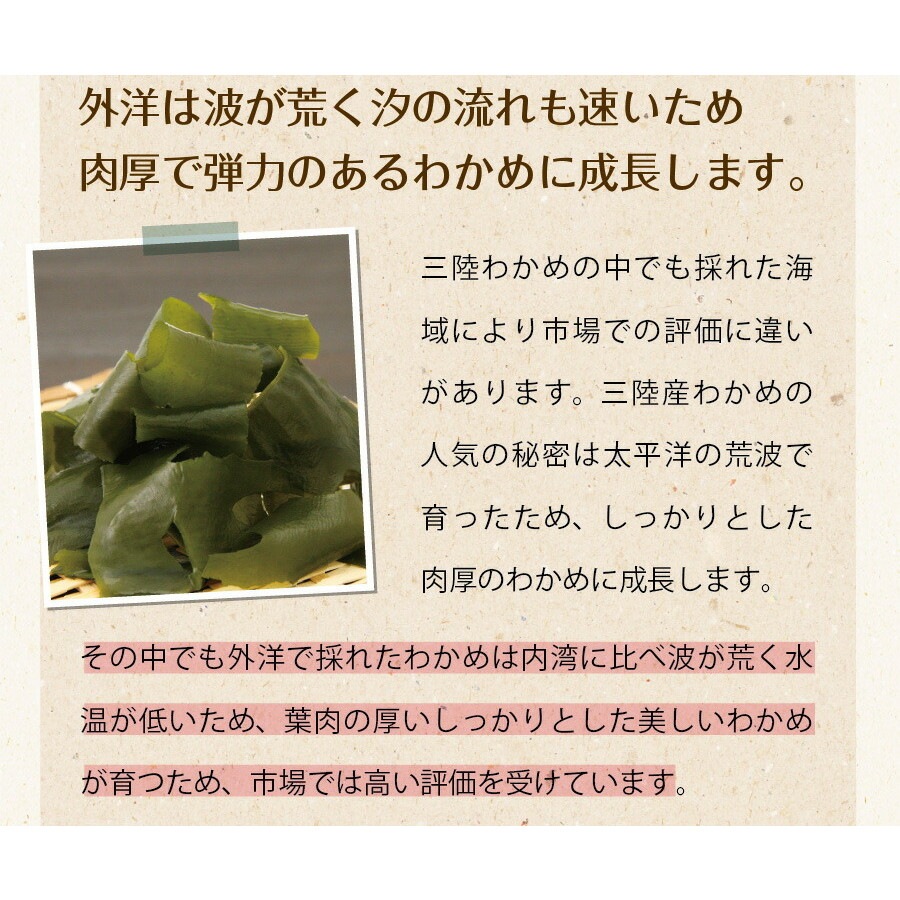 【単品】三陸外洋大谷産 カットわかめ 40g メール便