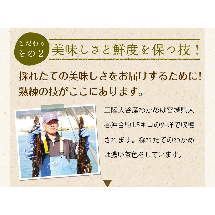 【単品】三陸外洋大谷産 カットわかめ 40g メール便