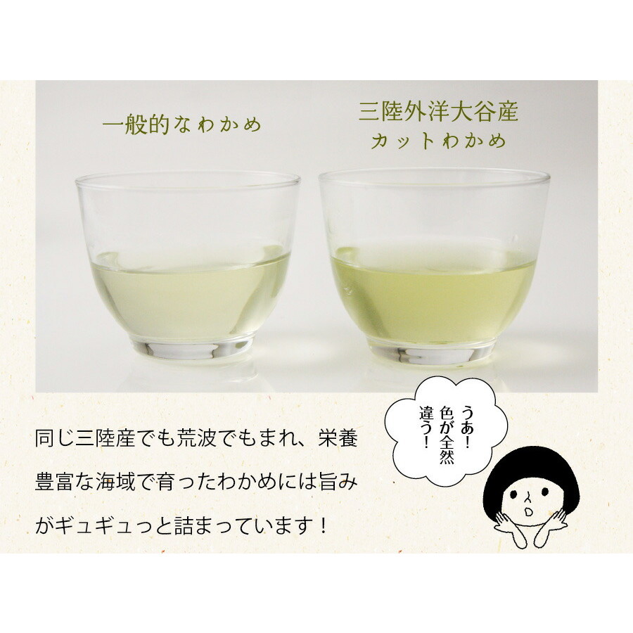 【2個セット】三陸外洋大谷産 カットわかめ 40g メール便