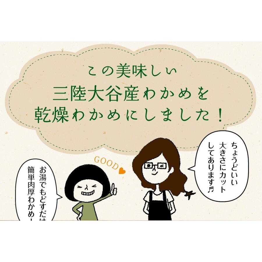 【2個セット】三陸外洋大谷産 カットわかめ 40g メール便