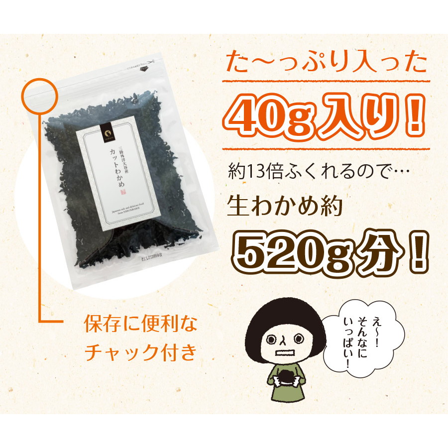 【2個セット】三陸外洋大谷産 カットわかめ 40g メール便