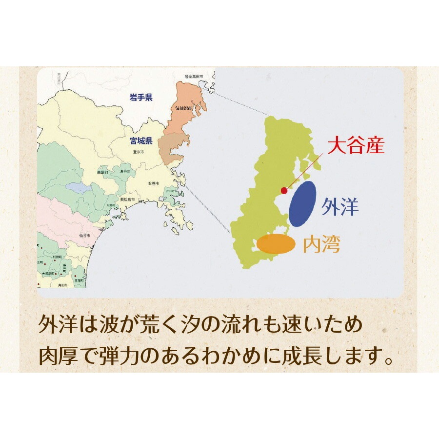 【2個セット】三陸外洋大谷産 カットわかめ 40g メール便