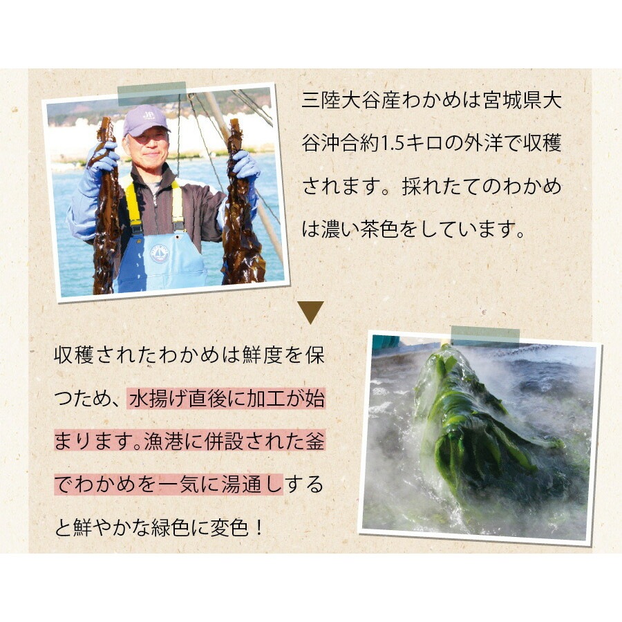 【2個セット】三陸外洋大谷産 カットわかめ 40g メール便