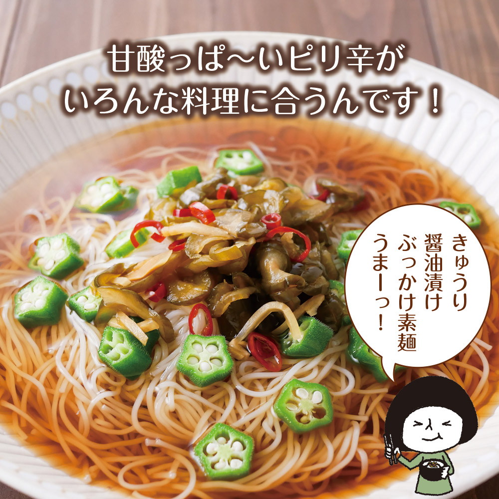 【8個セット】国産きゅうり醤油漬け 100g