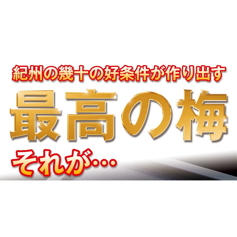 訳あり つぶれ梅<br>味梅 450g×2個セット<br>計900g 梅干し 訳あり<br>紀州南高梅