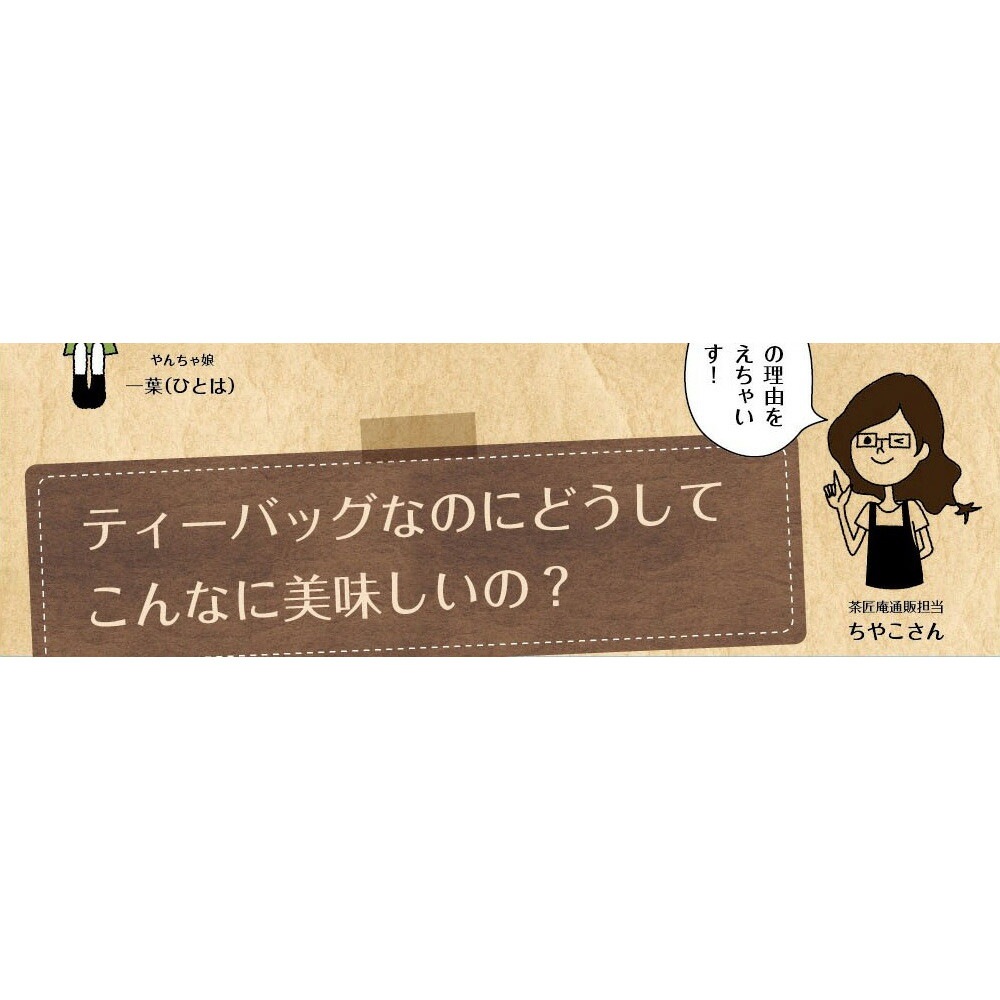 【5個セット】こいうま深蒸し茶 ポット用 5g×50包