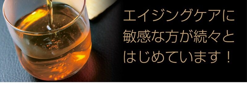 【2個セット】国産ごぼう茶 ティーバッグ 20包 メール便