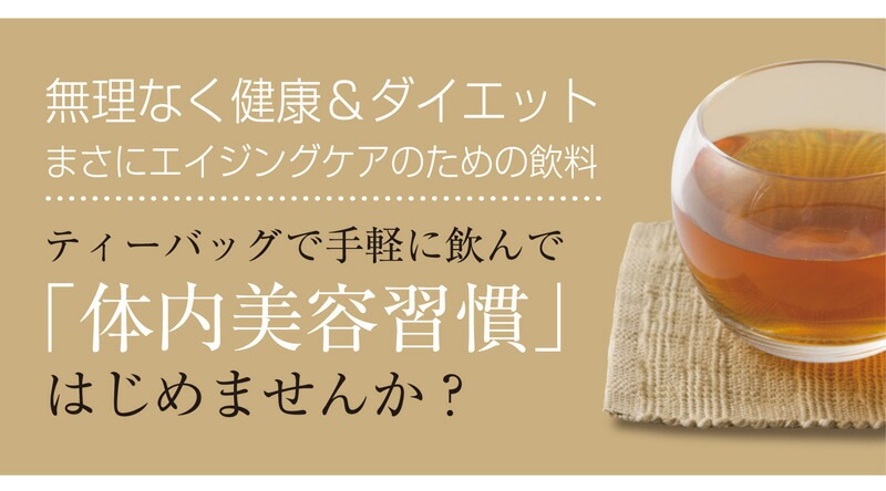 【2個セット】国産ごぼう茶 ティーバッグ 20包 メール便