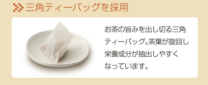 【2個セット】国産ごぼう茶 ティーバッグ 20包 メール便