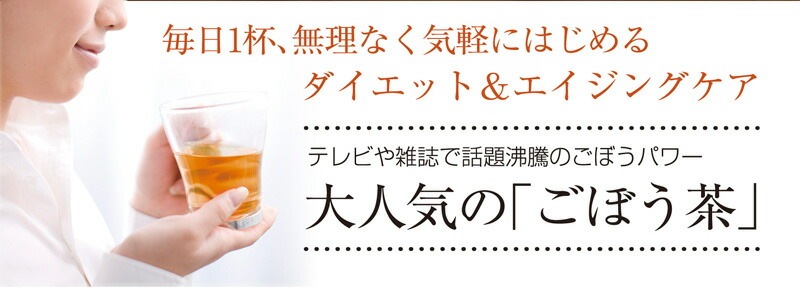 【2個セット】国産ごぼう茶 ティーバッグ 20包 メール便