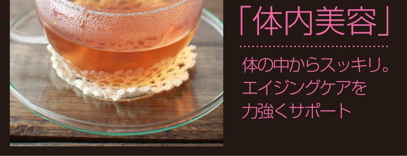 【2個セット】国産ごぼう茶 ティーバッグ 20包 メール便
