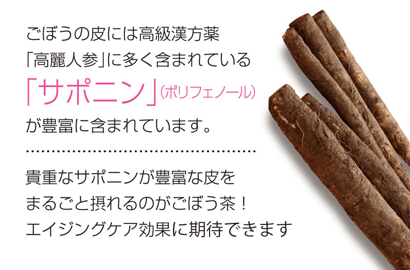 【2個セット】国産ごぼう茶 ティーバッグ 20包 メール便