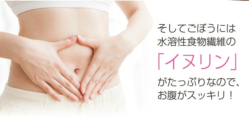 【2個セット】国産ごぼう茶 ティーバッグ 20包 メール便