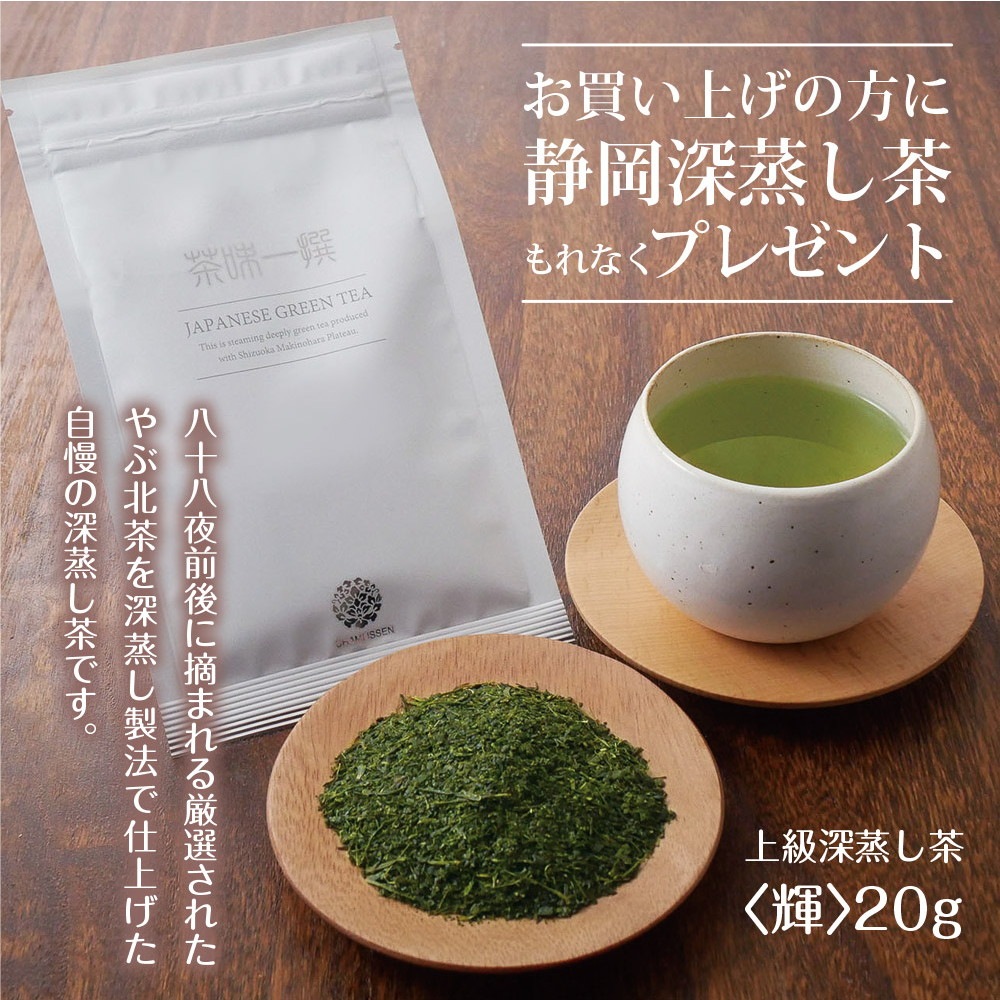 常滑焼急須 茶が楽 380cc