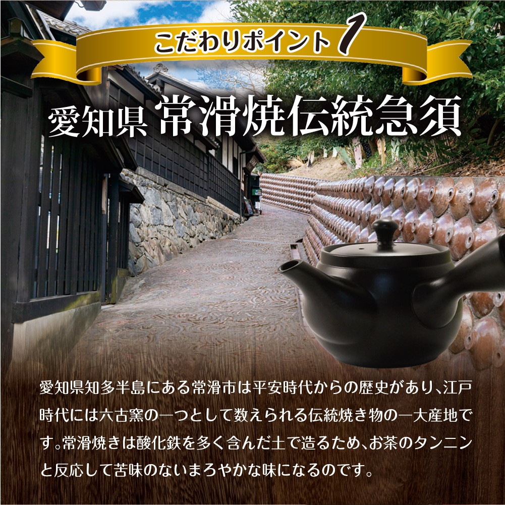 常滑焼急須 茶が楽 380cc