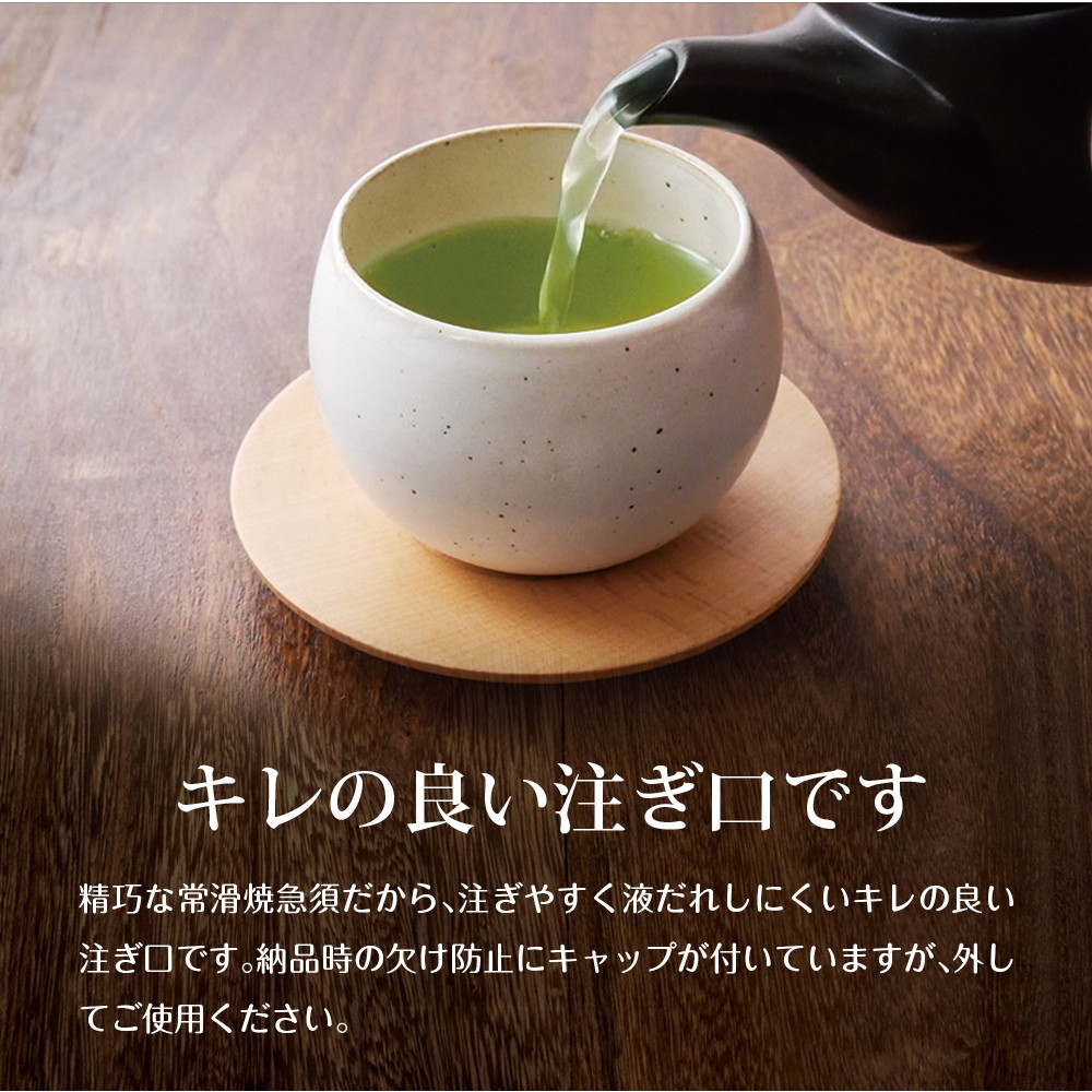 常滑焼急須 茶が楽 380cc