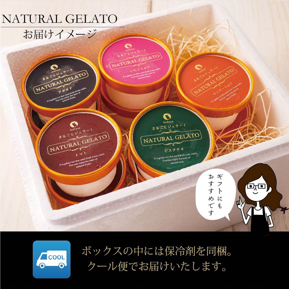 まるごとプレミアムジェラートアイス Aセット 10個入り