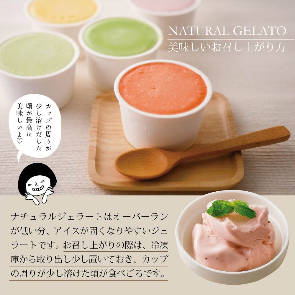 まるごとプレミアムジェラートアイス Bセット 8個入り