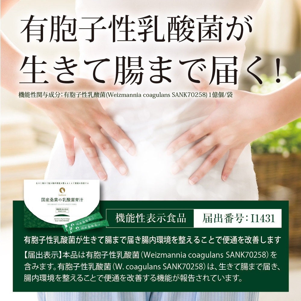 国産桑葉の乳酸菌青汁 30包 メール便