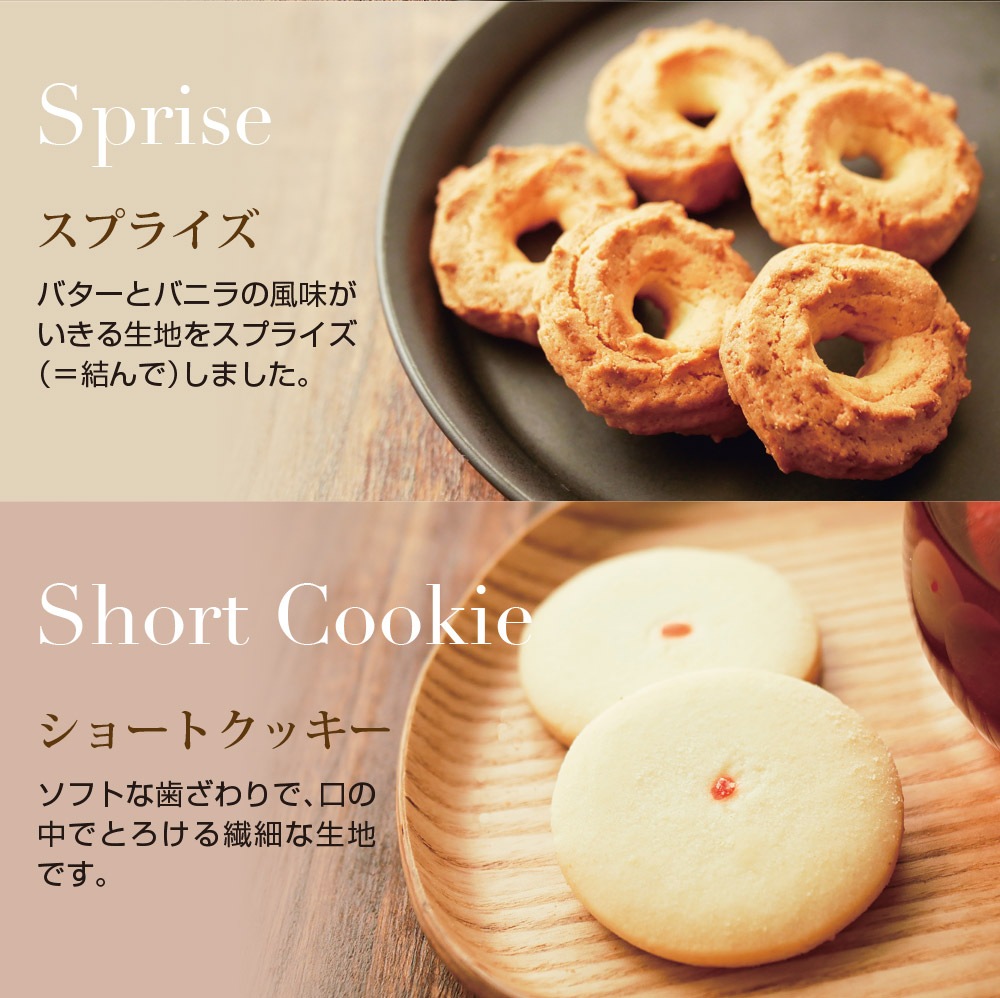 泉屋東京店 スペシャルクッキーズ A-500
